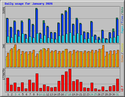 Daily usage for January 2026
