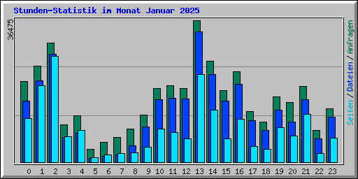 Stunden-Statistik im Monat Januar 2025