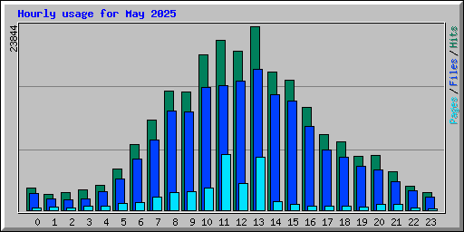 Hourly usage for May 2025