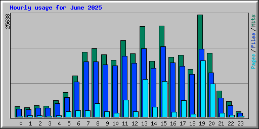 Hourly usage for June 2025