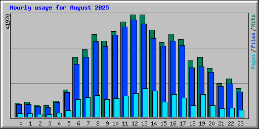 Hourly usage for August 2025