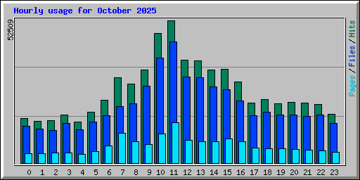 Hourly usage for October 2025