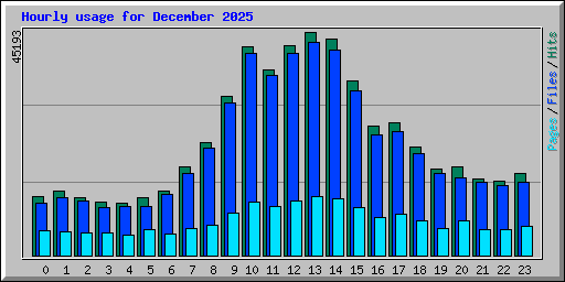 Hourly usage for December 2025
