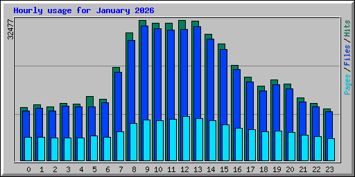 Hourly usage for January 2026